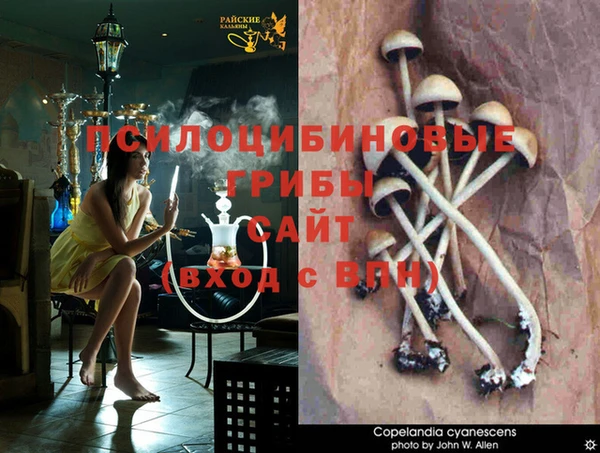 мяу мяу кристалл Богородицк