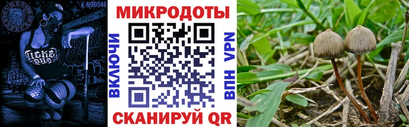 Псилоцибиновые грибы мицелий  Волжский 